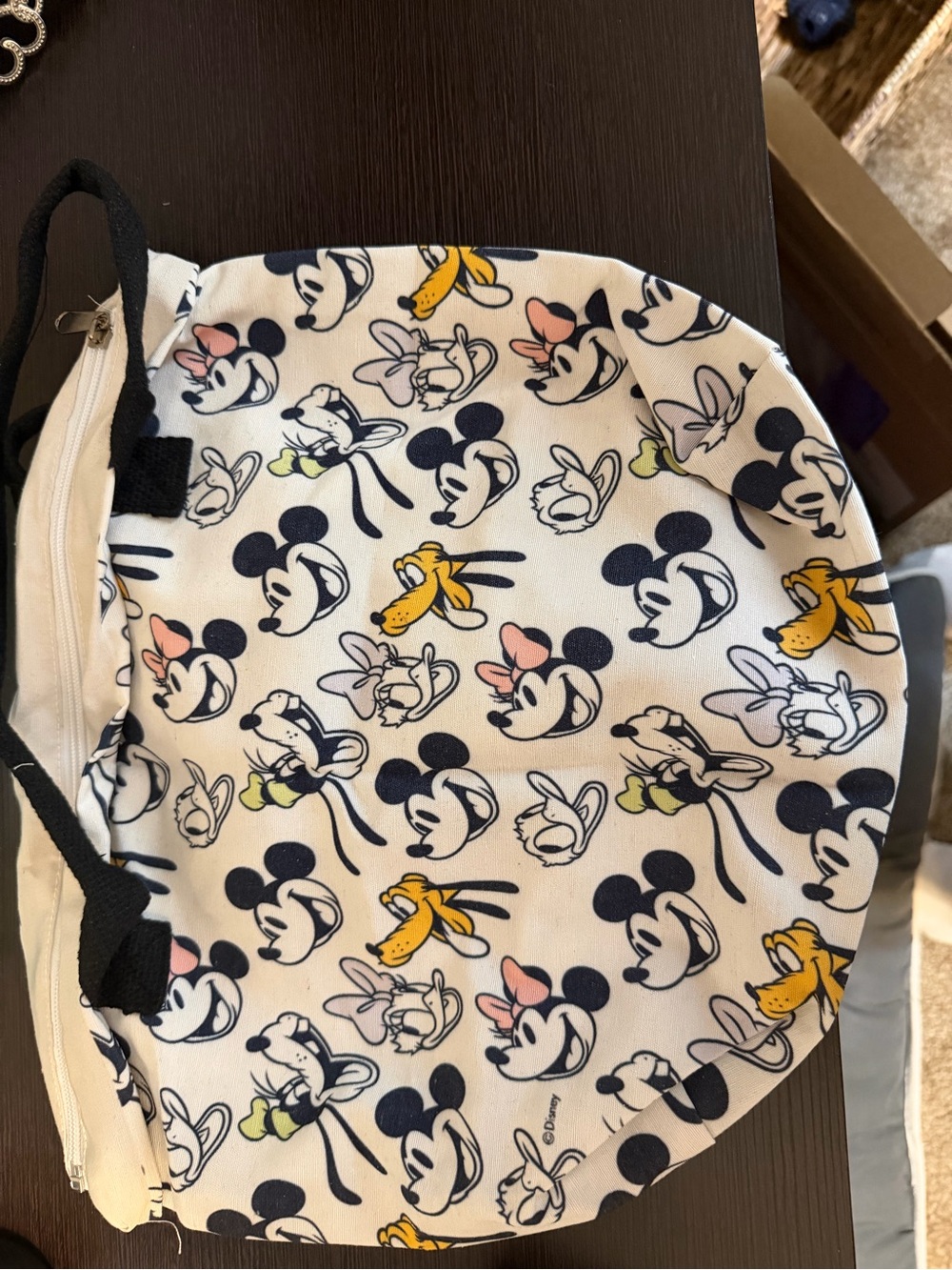 Never Used Mickey Mouse and Friends Tote